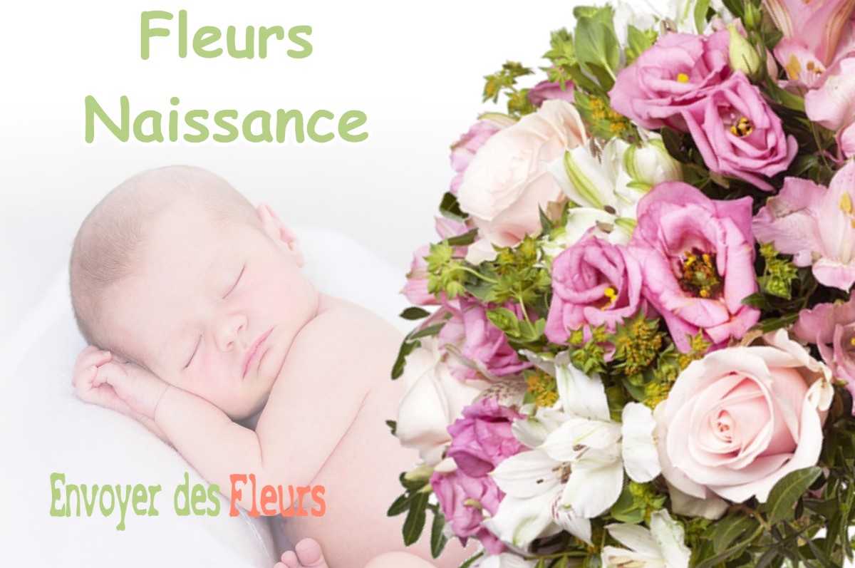 lIVRAISON FLEURS NAISSANCE à BENESSE-LES-DAX